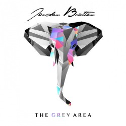 Jordan Bratton Grey Area Artwork