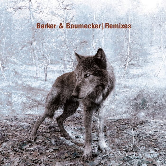 Barker & Baumecker Remixes Cover