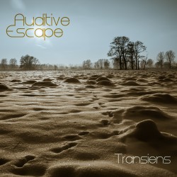 Auditive Escape - Transiens Cover